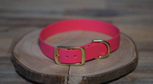 Pinkes Halsband aus Biothane mit Messing Beschlägen