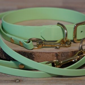 Set bestehend aus Pastell-grün Halsband und Leine aus Biothane