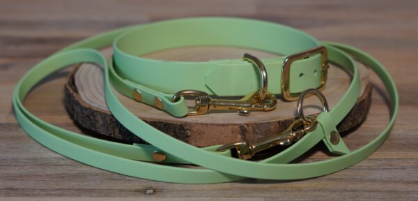 Set bestehend aus Pastell-grün Halsband und Leine aus Biothane