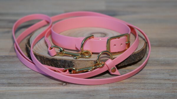 Set bestehend aus Pastell-rosa Halsband und Leine aus Biothane